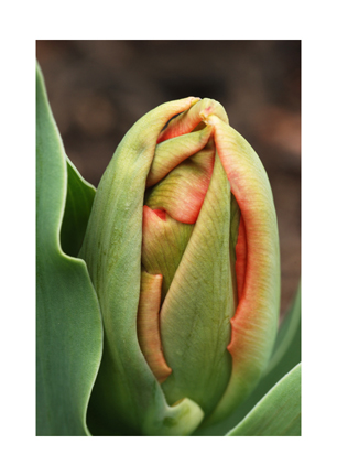 Unfolding